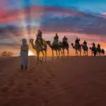 Desert Safari